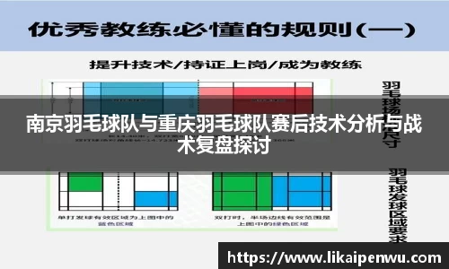 南京羽毛球队与重庆羽毛球队赛后技术分析与战术复盘探讨