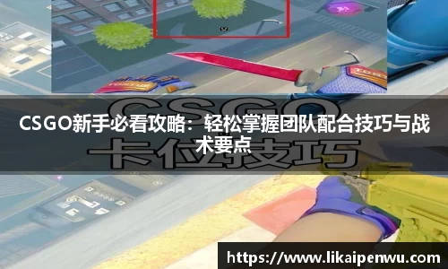 CSGO新手必看攻略：轻松掌握团队配合技巧与战术要点